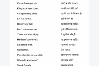 do professional english to hindi and hindi to english