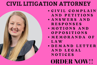 civil and labor lawyer in ca,fl,ar,al,ny and professionally draft court document