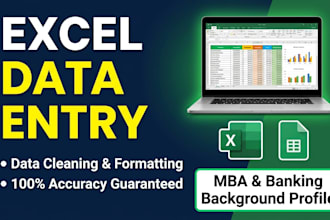 do professional excel data entry and HR data support
