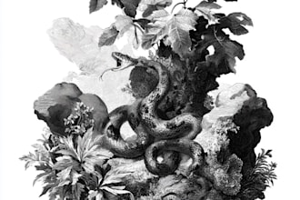 create authentic vintage engraving and etching illustrations