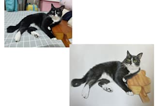 offer colored pencil and graphite pet portrait