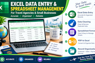 do excel data entry and spreadsheet management