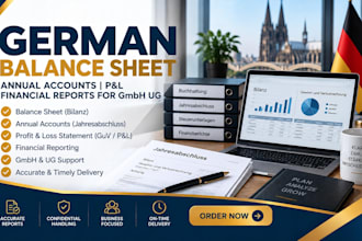prepare german balance sheet, annual accounts and financial reports for gmb