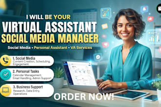 virtual assistant social media, personal assistant social media manager VA
