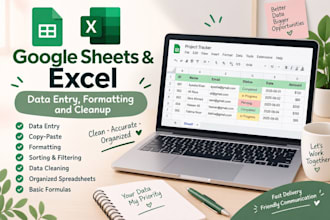 do google sheet and excel data entry, formatting and cleanup