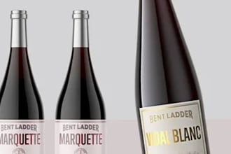 design a professional wine label for your brand