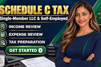 prepare schedule c for single member llc, self employed business llc tax return