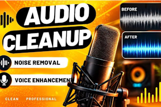 do dialogue cleanup, noise removal and voice enhancement