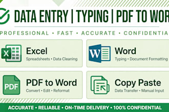 do data entry, typing work, pdf to word and excel data entry