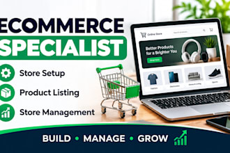 build a professional shopify store