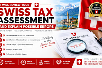 review your swiss tax assessment and explain possible errors