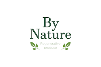 design a modern and professional wordmark logo