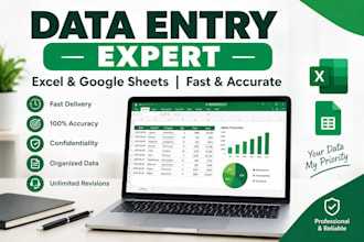 do data entry, excel and google sheets work
