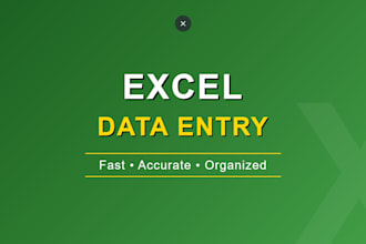 microsoft excel data entry and spreadsheet formatting