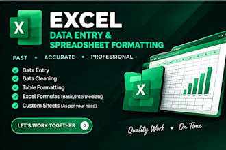 microsoft excel data entry and spreadsheet formatting