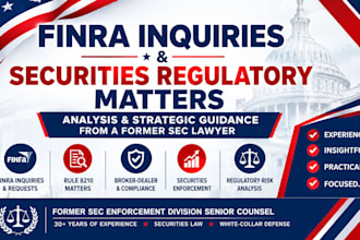 analyze finra inquiries and securities regulatory matters with former sec lawyer