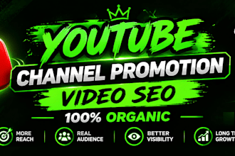 do youtube video SEO to gain 1 million views organically