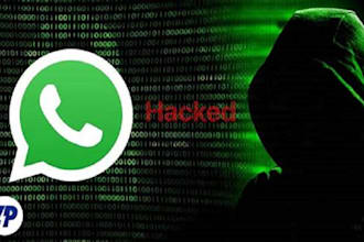 certified hacked chat history by spyware, password gain, whatsapp access