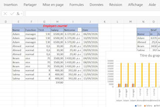 clean,organise and format your excel spredsheet