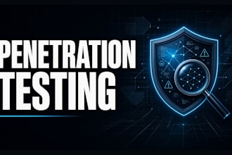 do penetration testing and vulnerability assessment of your website