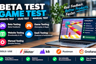 do beta test manual test user test game test and provide feedback