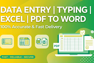 ido data entry excel work image to word typing