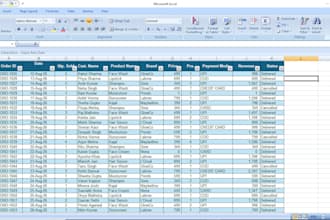 doaccurate excel data entry and copy paste work per page