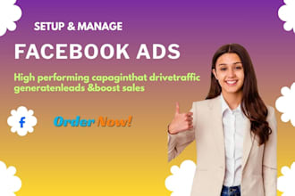 create and manage facebook ads to get more seles and lead compaigns