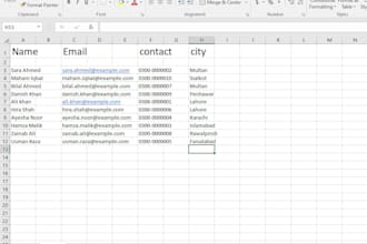 do microsoft word data entry, typing and document formatting