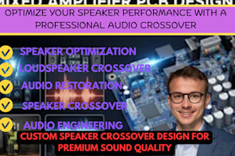 design a custom audio crossover for premium sound quality based on your speakers