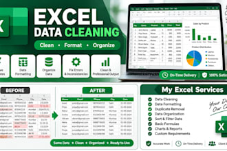 excel data cleaning and formatting