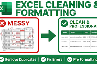 clean format and organize your microsoft excel sheet data