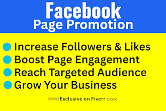 do organic facebook page promotion and ads campaign