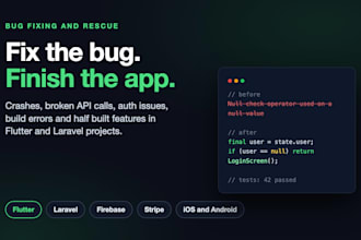 fix bugs or finish your flutter or laravel app
