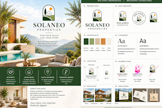 create a professional business logo and branding kit design