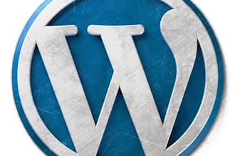 do wordpress website improvement