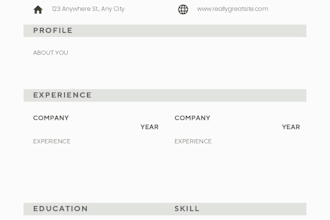 create a professional CV and resume for job seekers