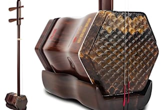 record violin viola cello, doublebass erhu morinkhuur sarangi rebab nyckelharpa