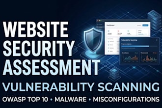 perform a professional website security assessment