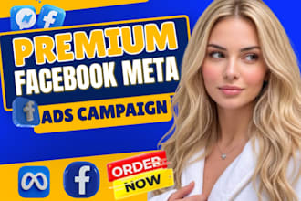 set up and manage facebook ads, meta ads campaigns and advertising