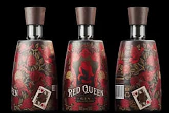 design beer soda energy drink and beverage can labels