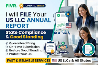 prepare and file your US llc annual report and state compliance for non resident