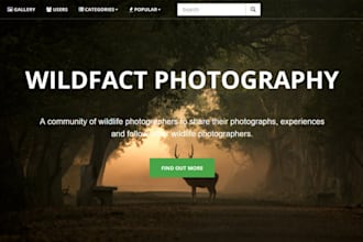 build squarespace wildlife photography website nature tour wildlife tour website