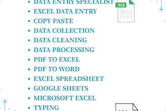 do excel data entry ms word typing and word formatting
