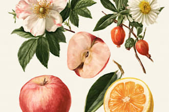 do a botanical illustration
