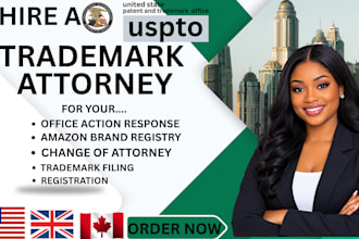 file your US provisional patent application in 48 hours with US registered agen