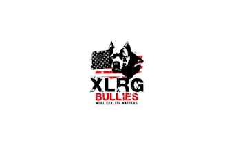 design american bully breeder logo