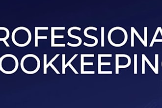 do professional bookkeeping and financial data entry in excel