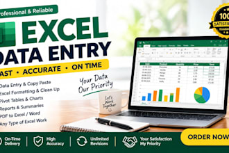 excel data entry services and reporting