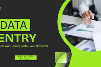 do fast excel data antry , copy paste and web reaserch work